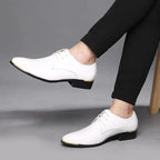 Sapato Masculino Vanguard